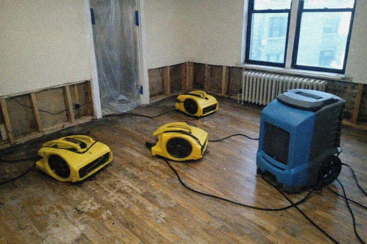 Air movers and a dehumidifier running in a pre-war New York apartment living room with the baseboard removed