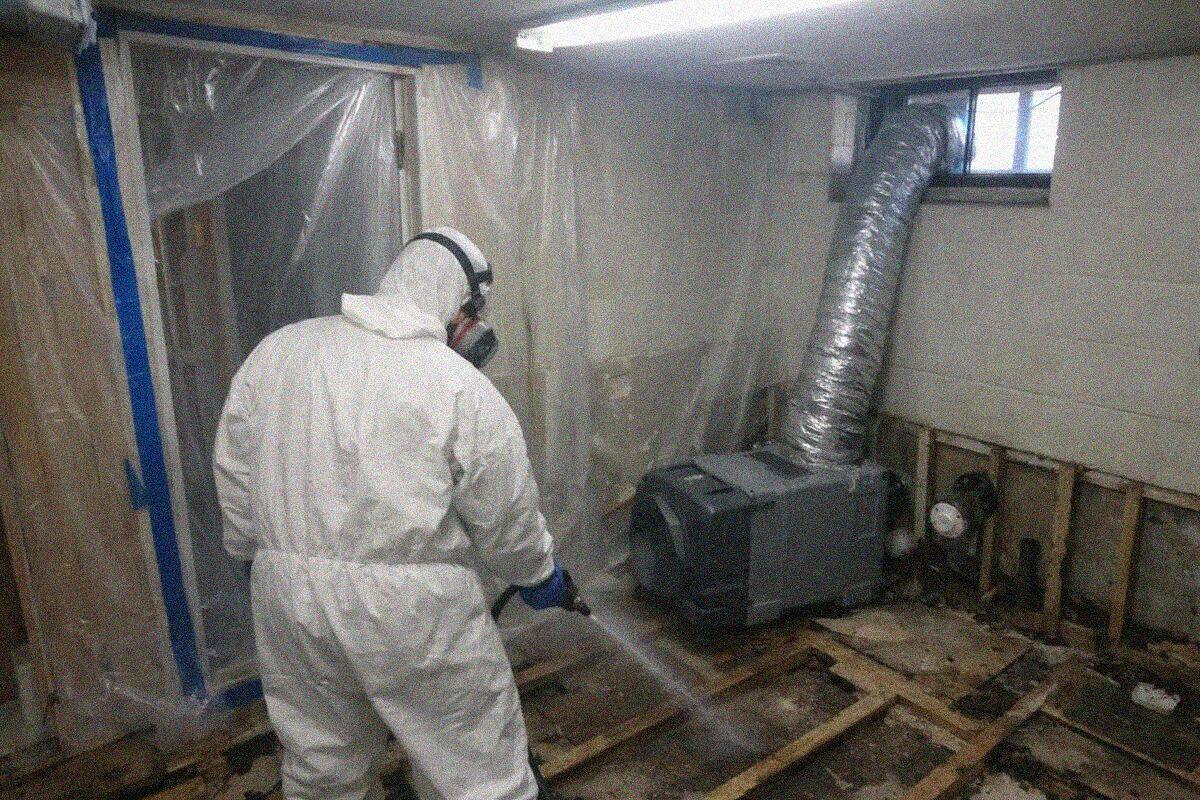 Plastic sheeting taped across a doorway as containment in a Bronx basement, with a negative air machine ducted through it